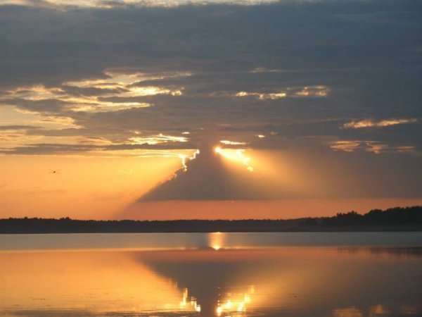 Олександр Кухаренко. 19 «лайків»